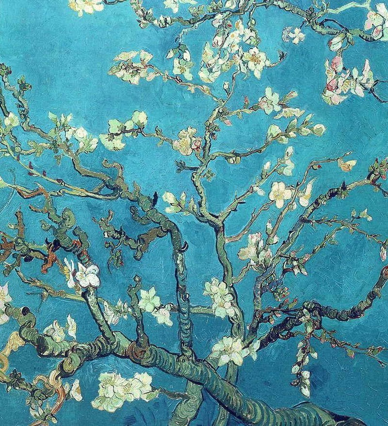 branches-with-almond-blossom-1890(1)